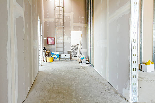 Best Drywall Crack Repair  in Watertown, MN